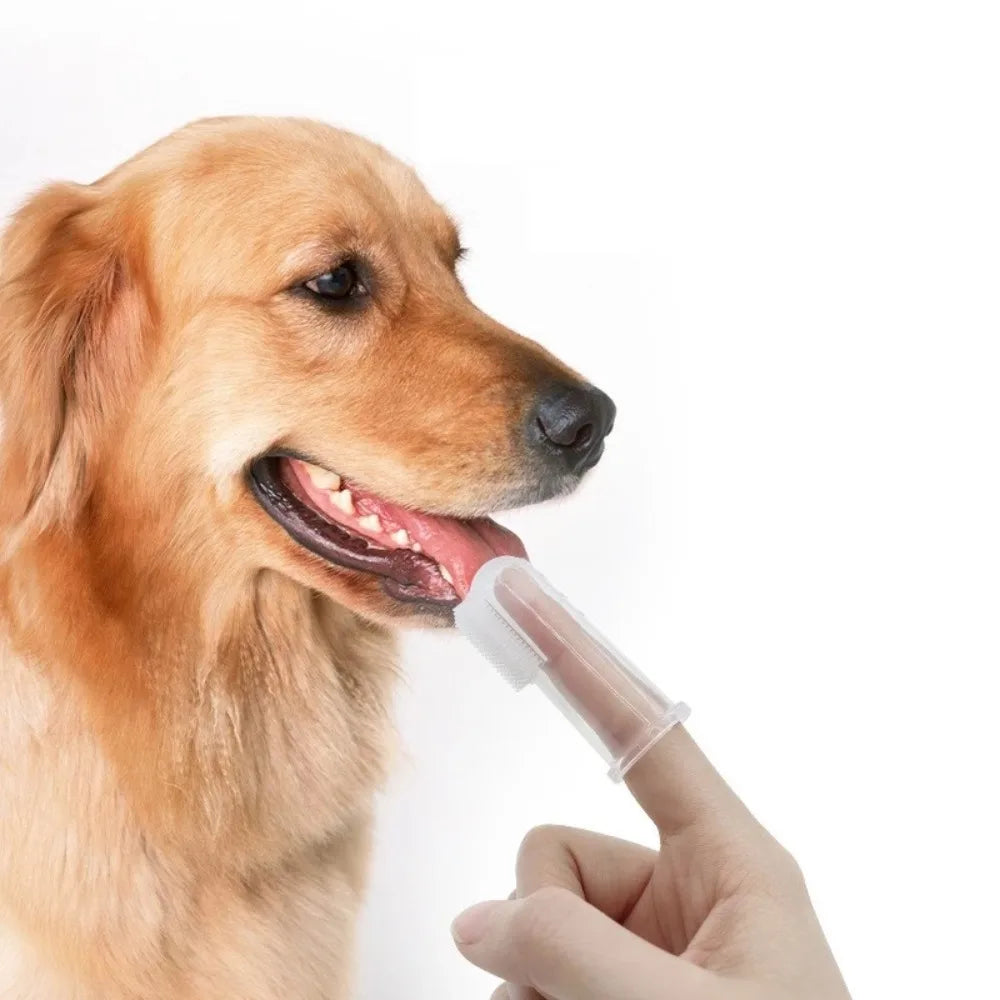 KAMAB Gentle Pet Finger Toothbrush Set