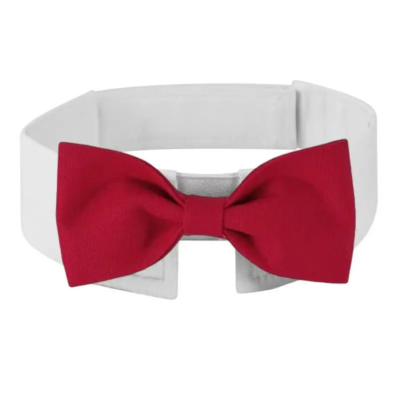KAMAB Signature Pet Bow Tie Collar