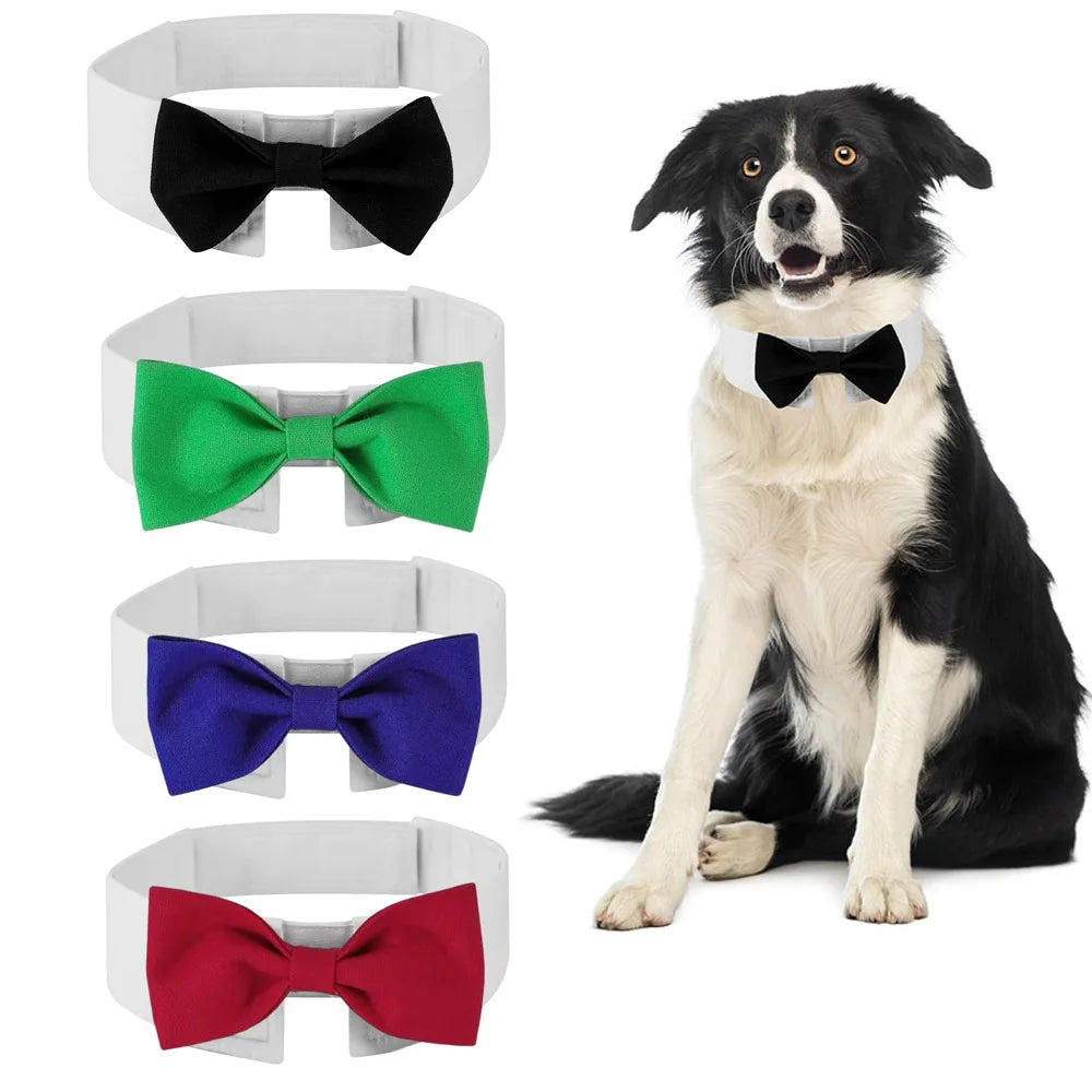 KAMAB Signature Pet Bow Tie Collar