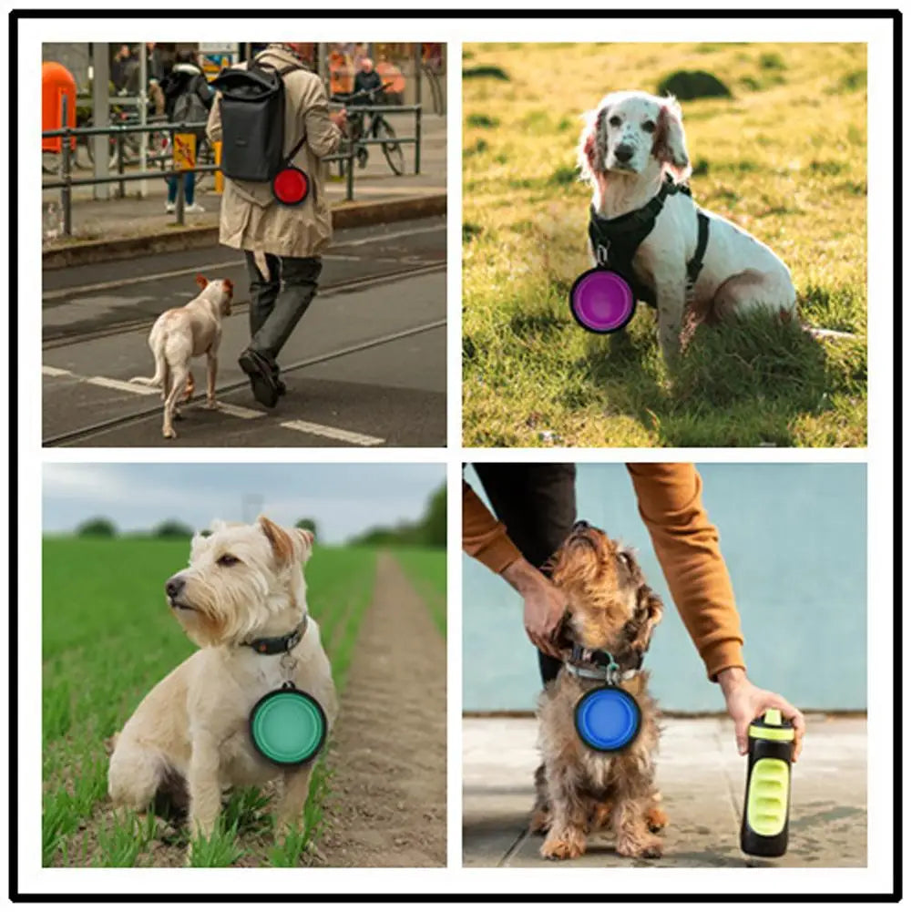 Dog Travel Bowl, Collapsible Bowls for Dogs, Foldable Cat Water Bowl, Portable Pet Feeding Water Travel Dish with Carabiner Clip