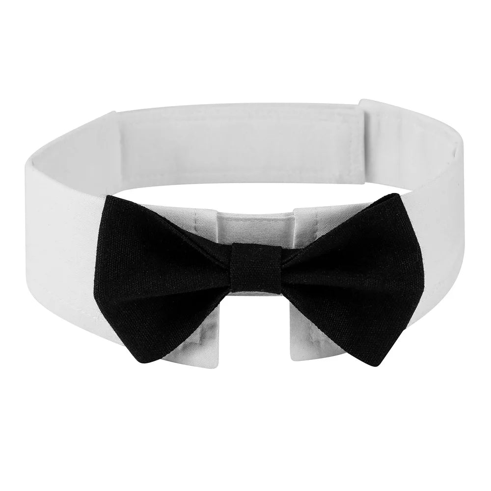 KAMAB Signature Pet Bow Tie Collar